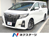 BIG-Xナビ バックカメラ ツインムーンルーフ フリップダウンモニター