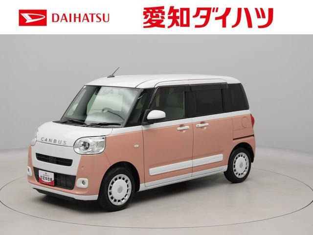 ムーヴキャンバス  ストライプス G