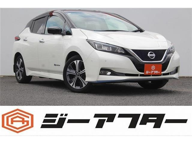 リーフ e+ G 