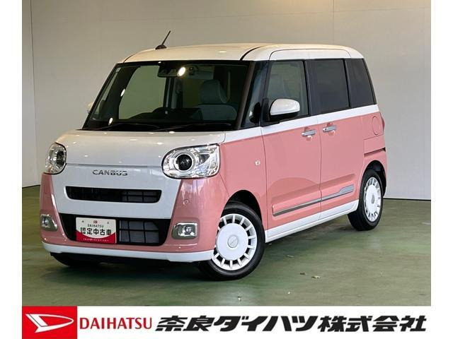 ムーヴキャンバス  ストライプス G