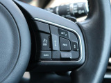 【全車速対応アダプティブクルーズコントロール】ミリ波レーダー+ステレオカメラ+赤外線により前方車輌を認識し、高速道路などの自動車専用道路や渋滞時などではドライバーの負担を大幅に軽減してくれます。