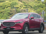 車に乗るために駐車場へ行くと、この姿が待っている・・・理想の環境だと思います。