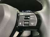 クルーズコントロールを装備しています。高速道路などで一定の速度で走ってくれるので運転が楽ですよ!速度を設定できますので、スピードの出しすぎにも注意できます。