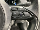 前方の車との車間を設定し、スピードを上げたり緩めたりを自動で行ってくれる追尾式の「レーダークルーズ」。上級装備の一つです!高級車にしかつかない嬉しい機能です。