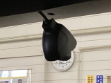後方にもドライブレコーダーのカメラが付いています。前後両方でお車の周りを監視・記録いたします。