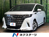 モデリスタフルエアロ デジタルインナーミラー 全周囲カメラ 後席モニター