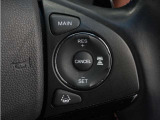 【アダプティブクルーズコントロール】予め設定した車速内でクルマが自動的に加減速。前走車との適切な車間距離を維持しながら追従走行します。【LKAS】車線維持支援システムでステアリング操作を支援。