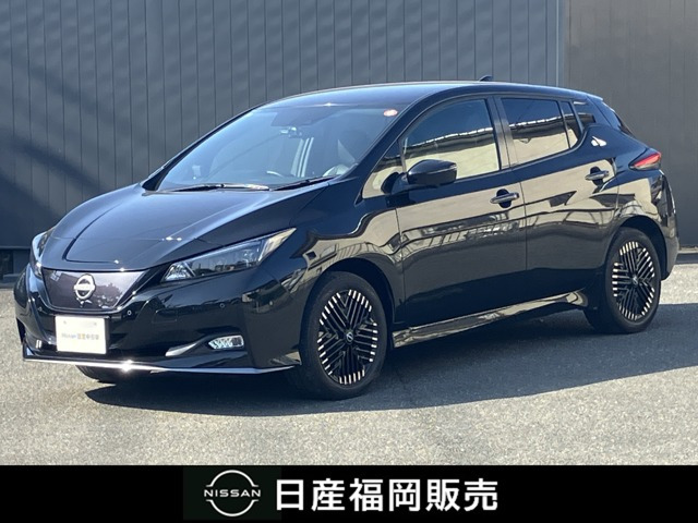 リーフ e+ G 