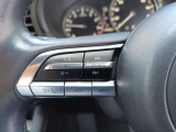 【スイッチパネル】オーディオ等の操作が運転しながらでも操作可能です。