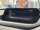 各種オーディオソースにも対応しております。