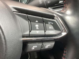 ミリ波レーダーで先行車との速度差や車間距離を認識。設定した車速内での車間距離を自動で調整・維持して、アクセル・ブレーキの操作なしで長距離ドライブの負担も軽減してくれます。