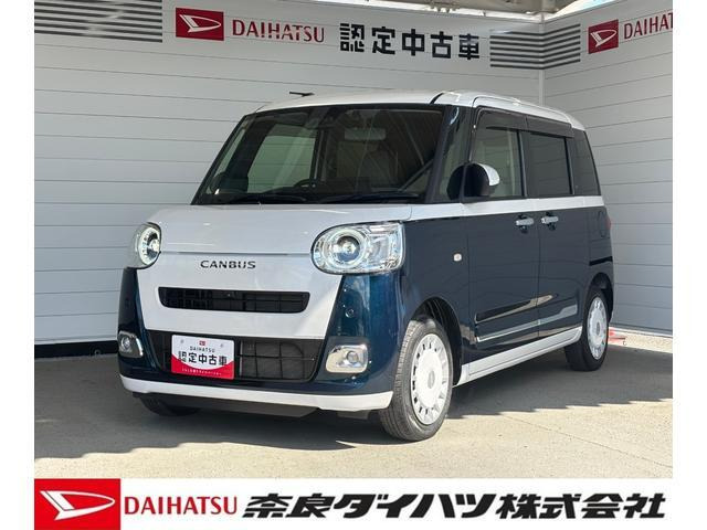 ムーヴキャンバス  ストライプス G