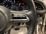 レーザークルーズコントロールや運転支援が付いているのでドライバーをサポートします
