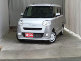 ムーヴキャンバス  ストライプス G