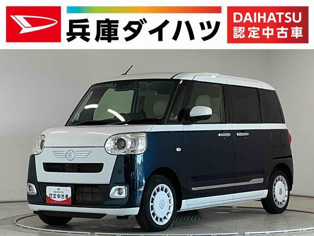 ムーヴキャンバス  ストライプス G