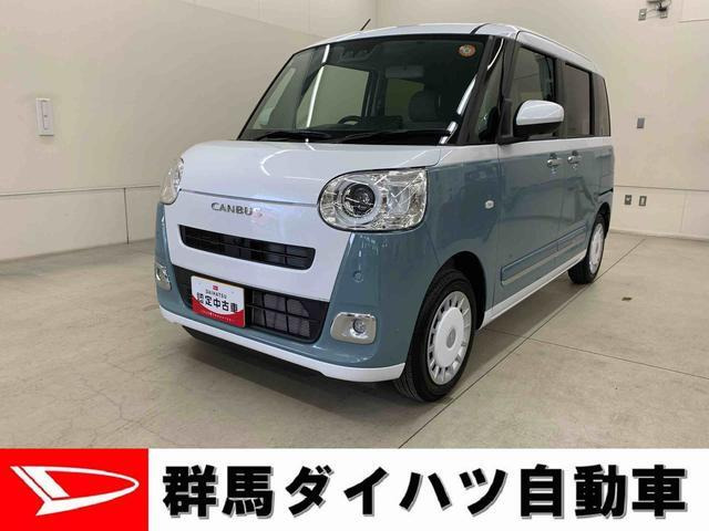 ムーヴキャンバス  ストライプス G