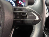 レーダークルーズコントロール(全車速追従機能付)