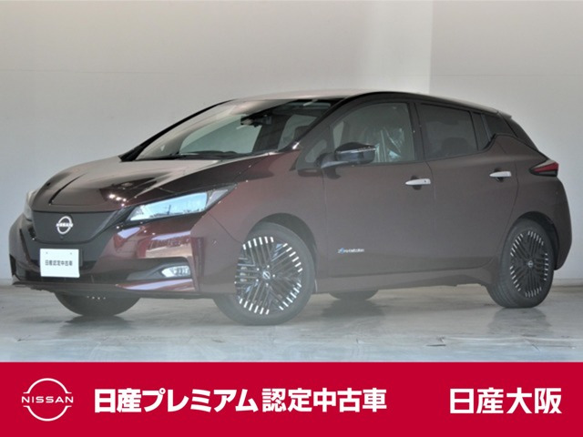 リーフ G