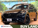 純正10型ナビ 全周囲カメラ ブラインドスポットモニター 黒革 ETC