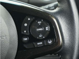 ◆アダプティブクルーズコントロール◆予め設定した車速内でクルマが自動的に加減速。前走車との適切な車間距離を維持しながら追従走行します。【LKAS】車線維持支援システムでステアリング操作を支援。