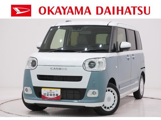 ムーヴキャンバス  ストライプス G