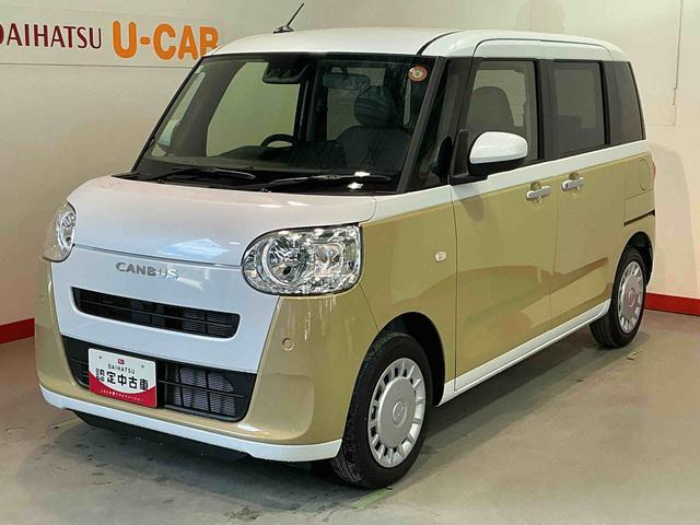ムーヴキャンバス  ストライプス X