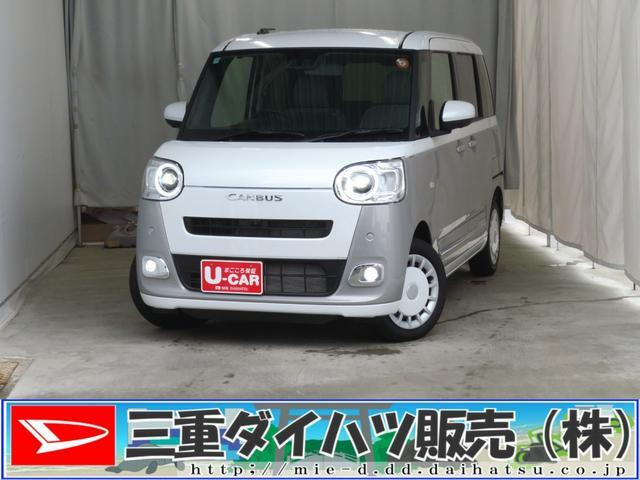 ムーヴキャンバス  ストライプス G