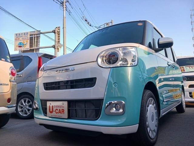 ムーヴキャンバス  ストライプス G