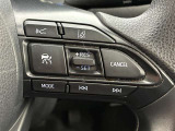 前方の車との車間を設定し、スピードを上げたり緩めたりを自動で行ってくれる追尾式の「レーダークルーズ」。上級装備の一つです!高級車にしかつかない嬉しい機能です。
