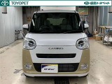 ムーヴキャンバス  ストライプス G