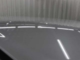 雹による被害部分です。