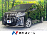 モデリスタエアロ 9インチディスプレイオーディオ バックカメラ