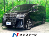 JBLサウンド 後席モニター メーカーナビ 全周囲カメラ 両側電動