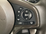 ハンドルにHondaセンシング系のクルーズコントロールやレーンキープアシストなどの操作スイッチが装備されています。ハンドルから手を離さず安全に操作できます。