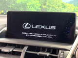 NX 300h スパイス&シック 