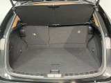 レクサス車らしい細部までこだわった高級感と見る人を一目で虜にするエモーショナルな魅力を持ち合わせております。