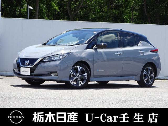 日産 リーフ 