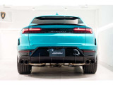Rear Spoiler in Shiny Black