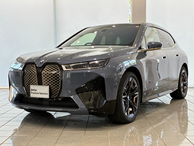 BMW iX 
