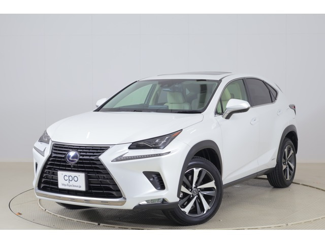 NX 300h Iパッケージ 