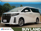 4WD 純正9インチナビ フリップダウンモニター ブラインドスポットモニ