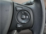◆アダプティブクルーズコントロール◆予め設定した車速内でクルマが自動的に加減速。前走車との適切な車間距離を維持しながら追従走行します。【LKAS】車線維持支援システムでステアリング操作を支援。