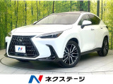 全方位モニター サンルーフ プリクラッシュセーフティ レーダークルーズ