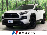 純正10型ディスプレイ バックカメラ 100V電源 衝突軽減 BSM