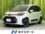 両側電動ドア 純正8型ディスプレイオーディオ 全周囲カメラ 100V電源