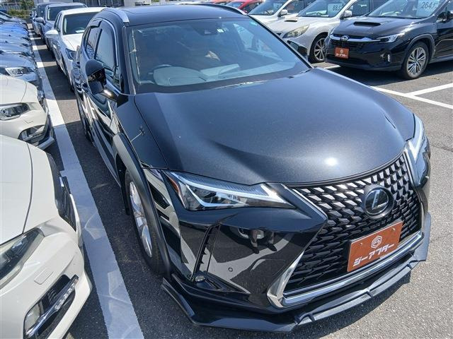UX 200 バージョンC 