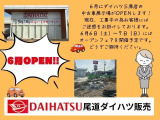 ムーヴキャンバス  ストライプス G