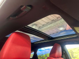 RX 300 Fスポーツ 