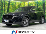 禁煙車 4WD ターボ 純正ナビ 全周囲カメラ ETC ドラレコ