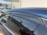 AutoExeスポーツサイドバイザー☆彡
